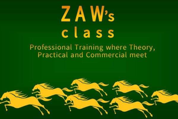 zaw class cover
